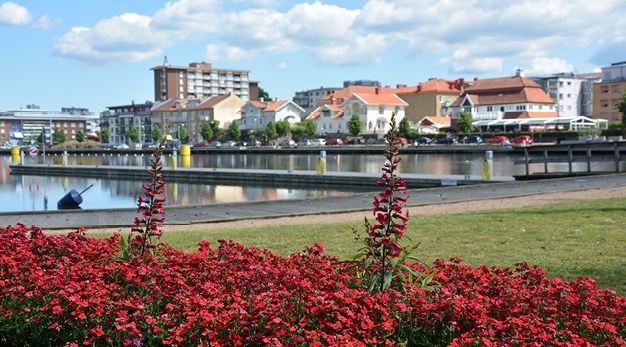 Bilden är en fotografi över älven. I förgrunden syns en rabatt med röda blommor. I bakgrunden syns kanalen och de hus som ligger längst den. 