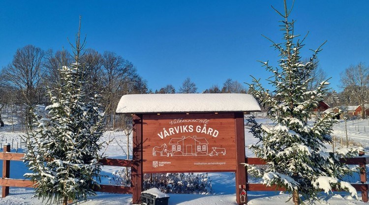 Entréskylten till Vårviks Gård, snötäckt med en gran på vardera sida