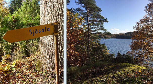 Två sammanfogade bilder över Öresjö. Himlen är klarblå och på marken ligger höstens löv i gult och oranget. 