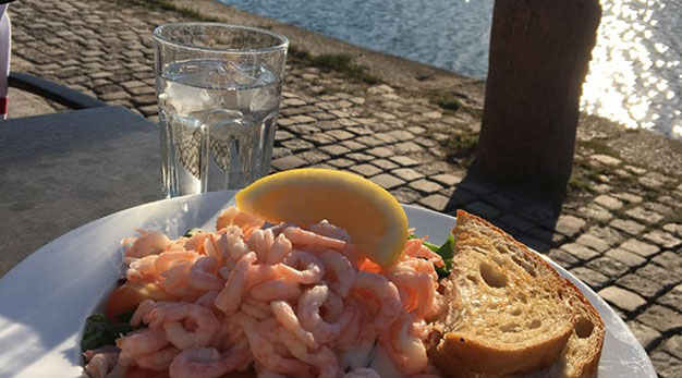 Räkmacka vid kanalen i solen