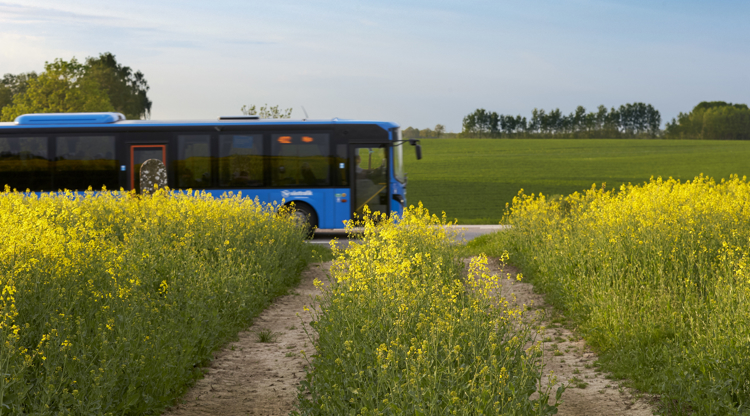 Sommarlovskort i Trollhättan
