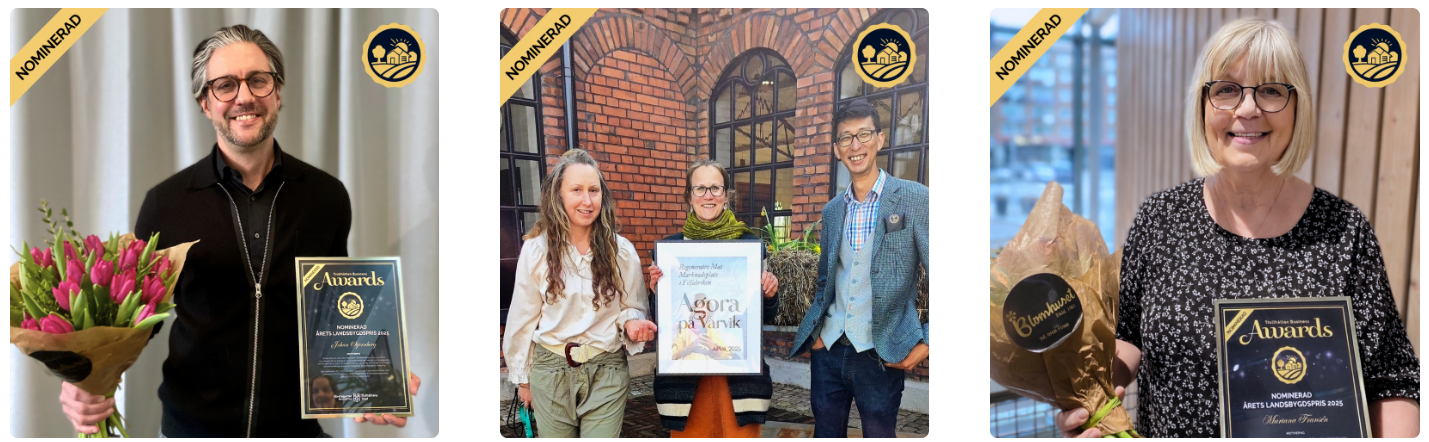 Bild p&aring; de tre olika nominerade