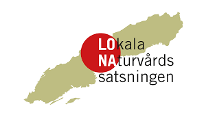 Logotyp Lona