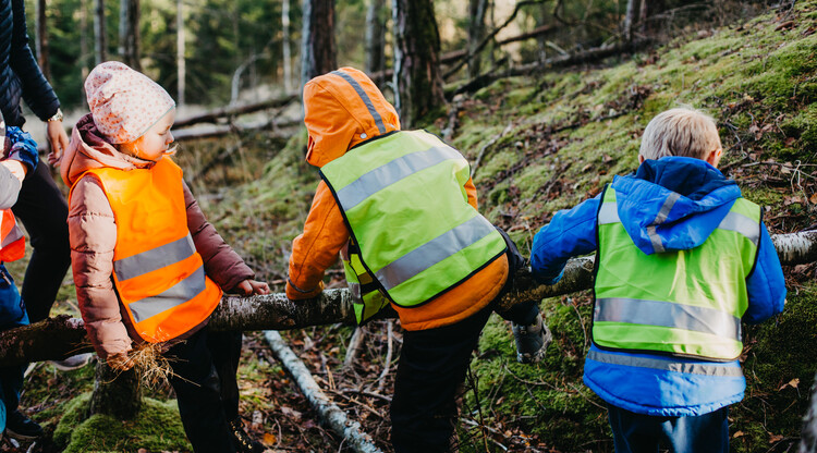 Barn som leker i skogen