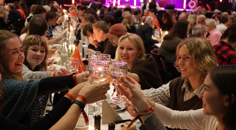 Personer skålar under middag.