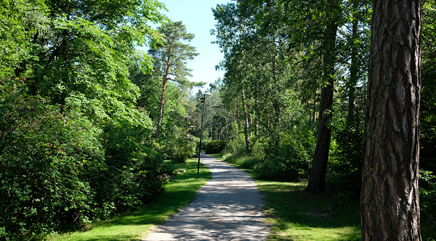 Fotografiet föreställer en park. Centrerat i bild går en grusgång och längst grusgångens båda sidor är det massor av grönska.