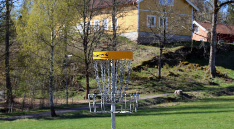 Discgolfkorg med byggnad i bakgrunden.