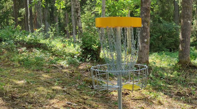 Disgolfkorg i skog