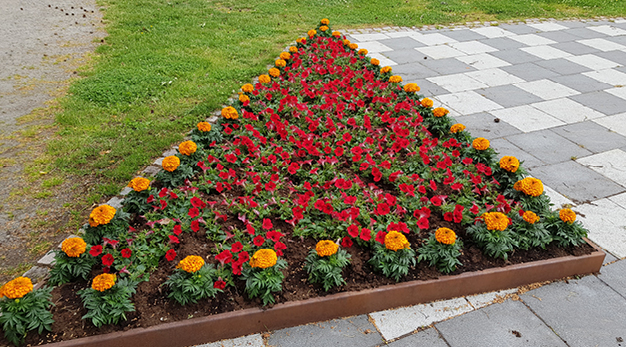 Bilden är ett fotografi över en planering formad som en trekant. Runt kanten på planteringen är det orangea blommor. I mitten är det massa små röda blommor.
