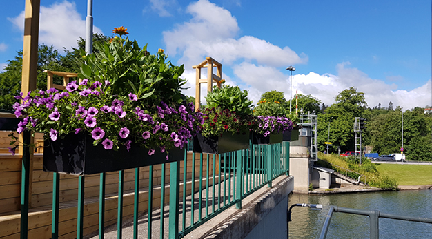 Bilden är en närbild på tre planteringlådor som hänger på paviljongen vid Klaffbron. Blommorna är små och lila och röda. I bakgrunden syns kanalen och brohuset.