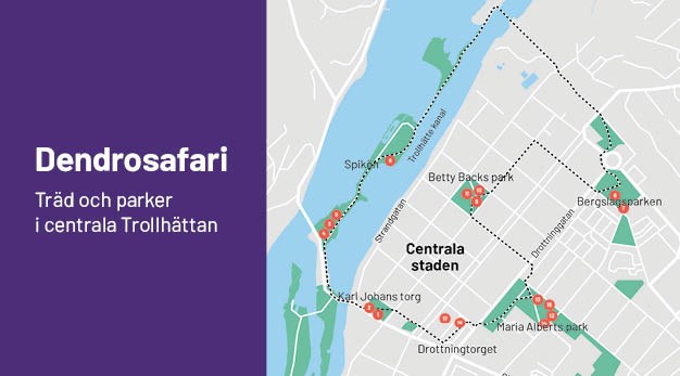 Bilden föreställer en karta över Dendrosafariet som löper genom de centrala delarna av Trollhättan. 