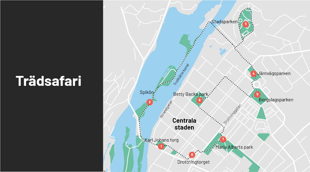 Karta över Trollhättans centrala parker. Text Trädsafari.