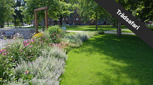 Färgbild på Trollhättans park - bergslagsparken