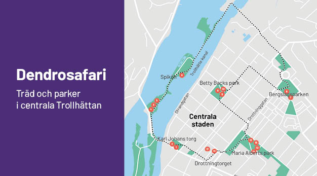 Bilden föreställer en karta över Dendrosafariet som löper genom de centrala delarna av Trollhättan.