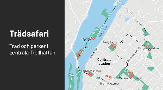 Karta över trädsafari Trollhättan
