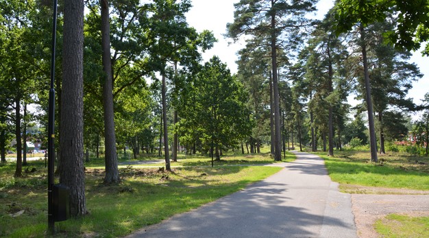 Bilden föreställer en cykelväg som löper längst hela fotografiet. På cykelvägens båda sidor är det gräsmatta och stora träd.