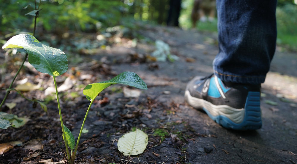 Person på promenad ute i skogen. 