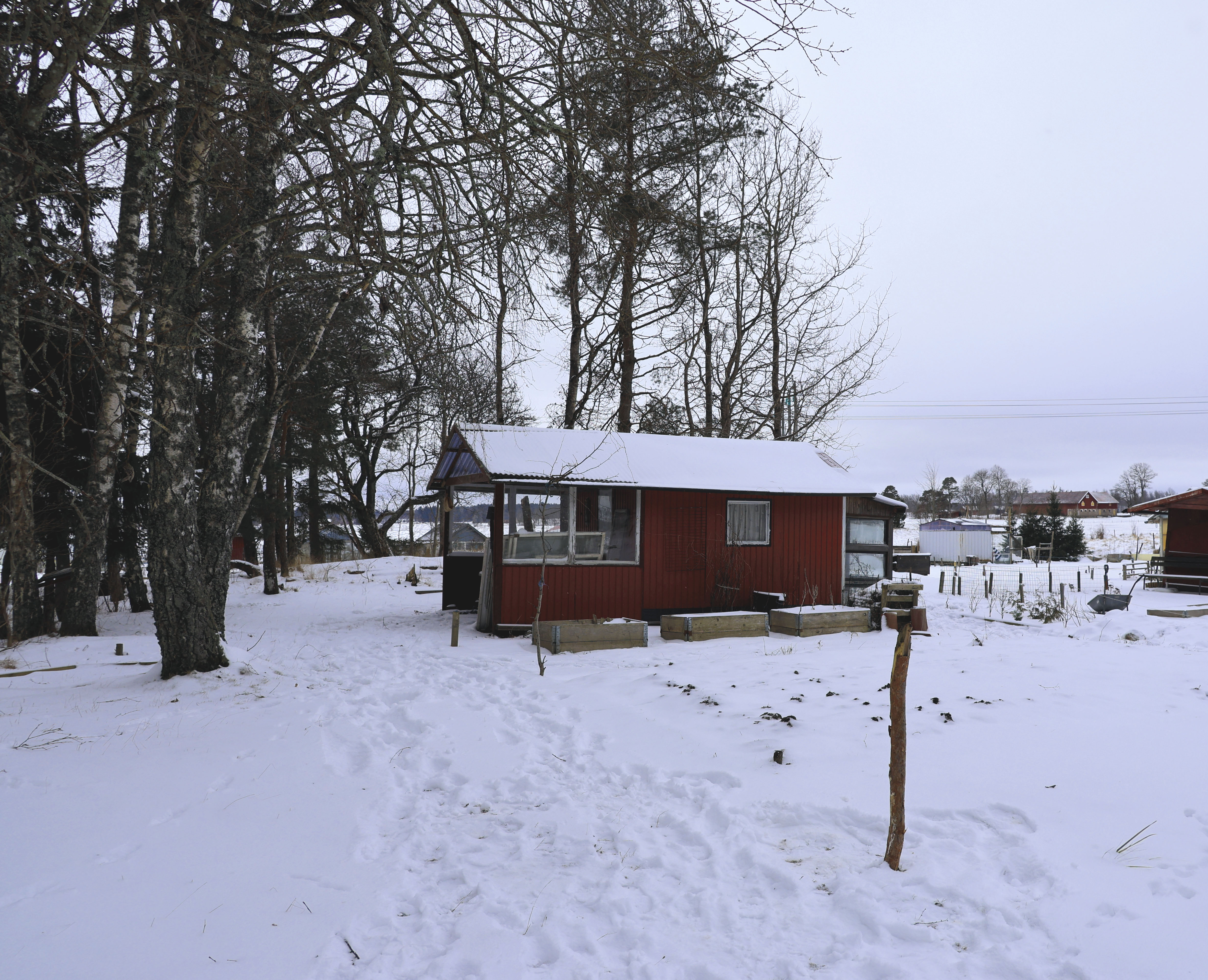 En röd kolonistuga, Lotten