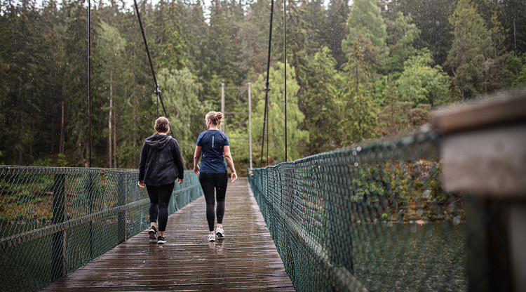 Promenad över hängbro.