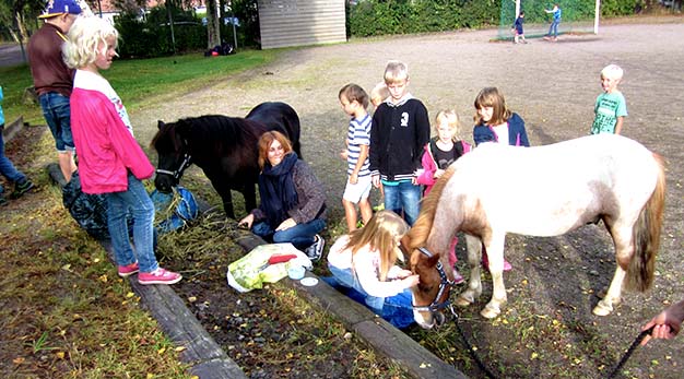 Bilden föreställer en stor grupp barn som står runt två ponnys. Mellan hästarna sitter en lärare.  Barnen ser glada och nyfikna ut. Kortet är taget utomhus på en skolgård. I bakgrunden syns två barn som leker vid ett stort vitt fotbollsmål. 