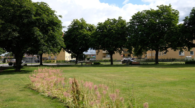 Fotografiet är en översiktsbild över en park. Parken omringas av stora kastanjträd. Trädens krona är enorm. I förgrunden syns en gräsmatta och på den löper en smal och avlång rabatt med sommarängsblommor.