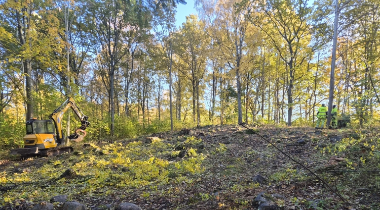 grävskopa står i terrängen