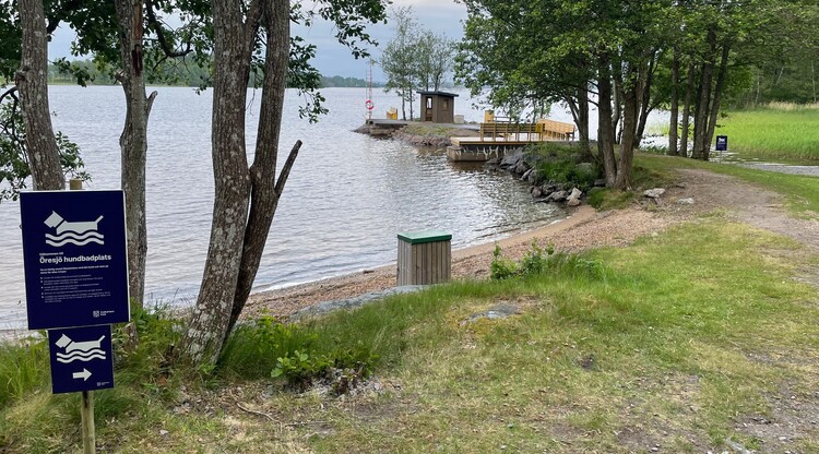 Strand vid sjö och skylt för hundbad.
