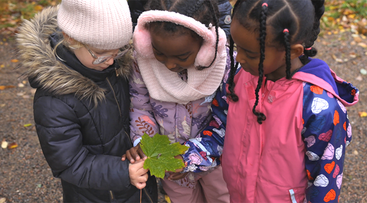 Tre elever som håller i ett blad