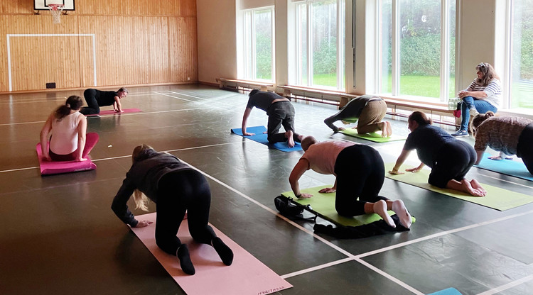 Personer på mattor gör yoga med instruktör.
