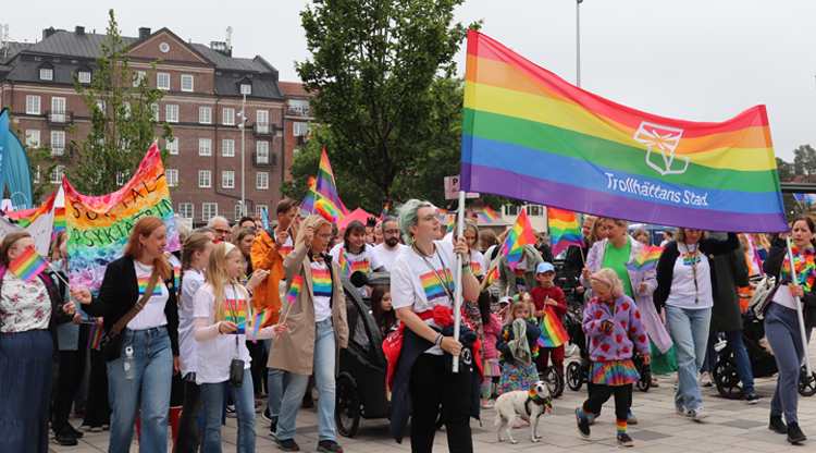 Många människor i parad under pridebanderoll