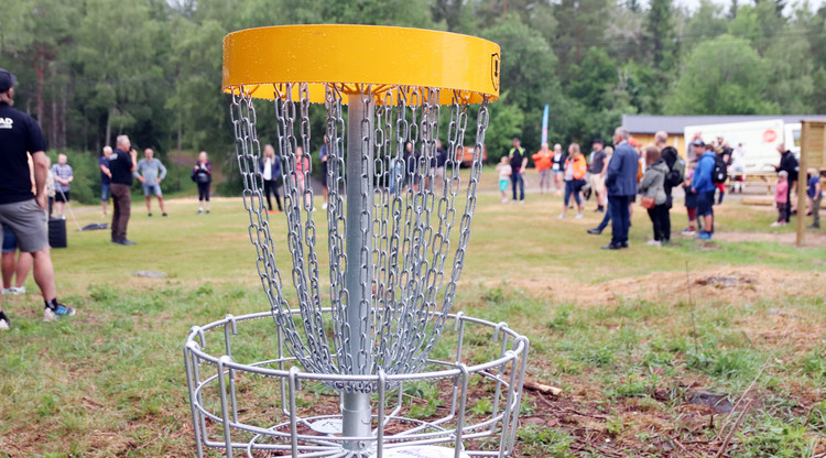 Korg för discgolf. I bakgrunden syns personer utomhus.