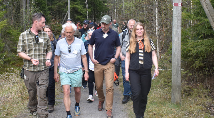 Personer promenerar i skog.