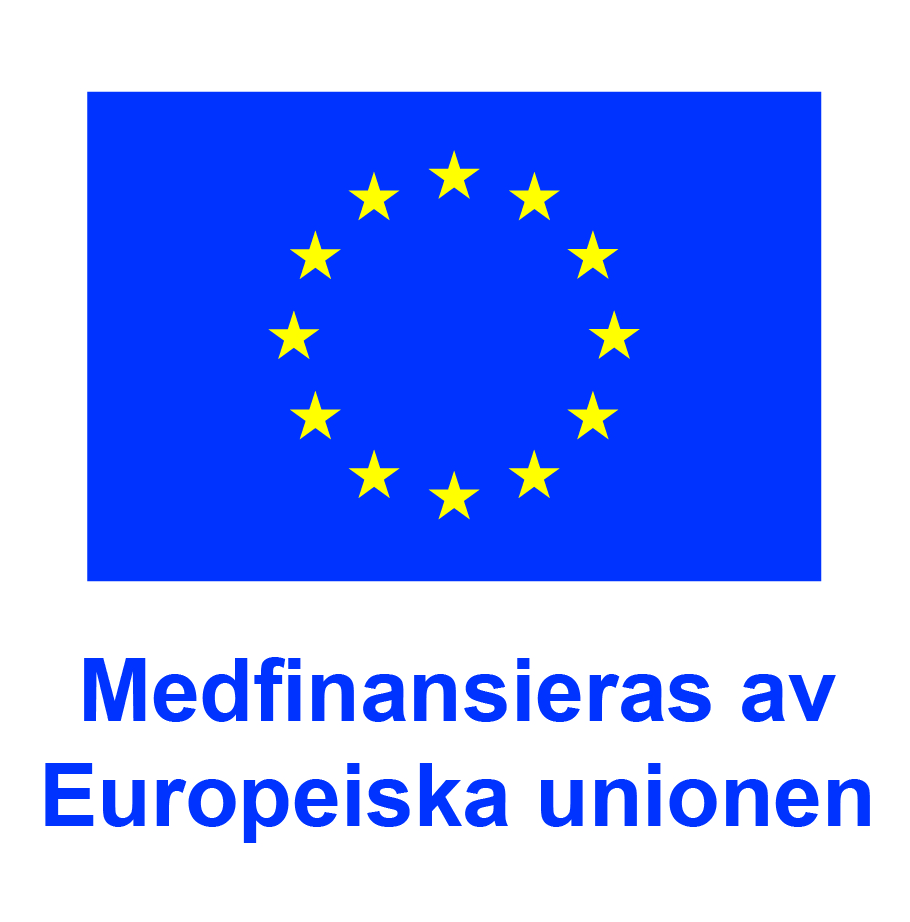 EU-logga med texten "Medfinansieras av Europeiska unionen"