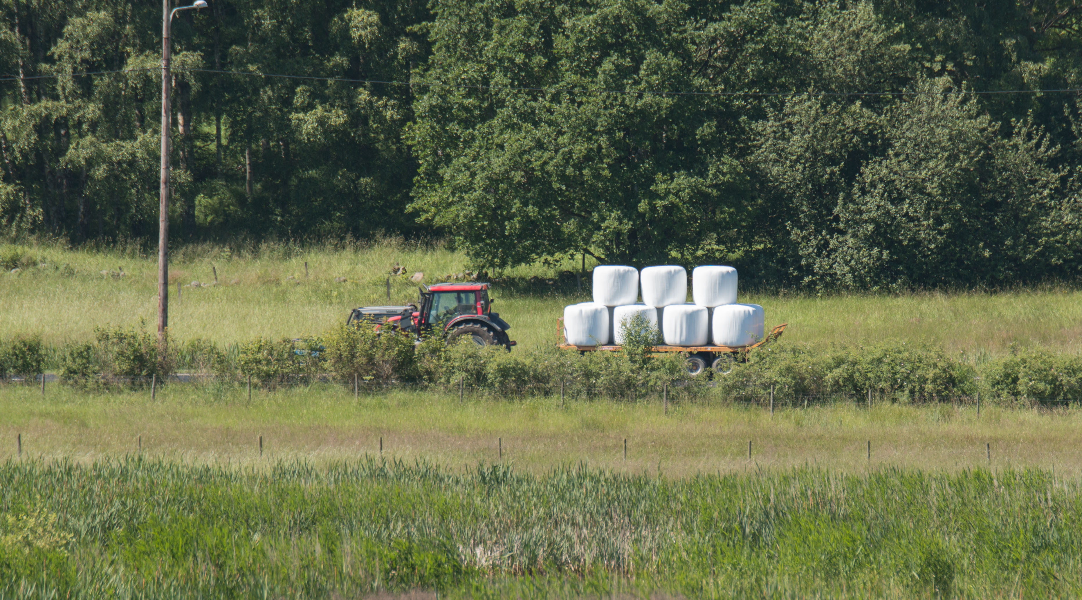Traktor med höbalar