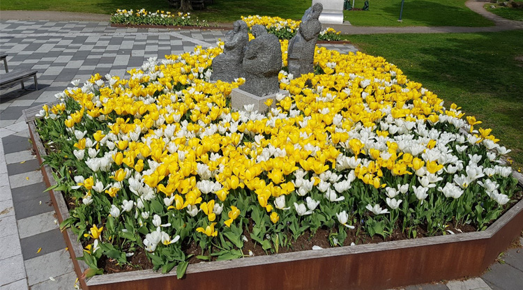 På bilden syns en kantig plantering med gula och vita blommor.