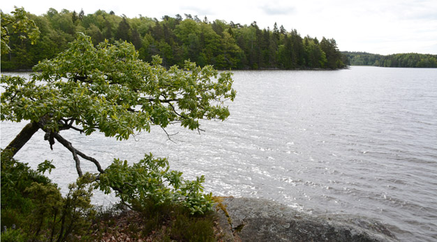 Naturreservatet Ålstadnäset, vybild från lilla näset över sjön mot stora näset.