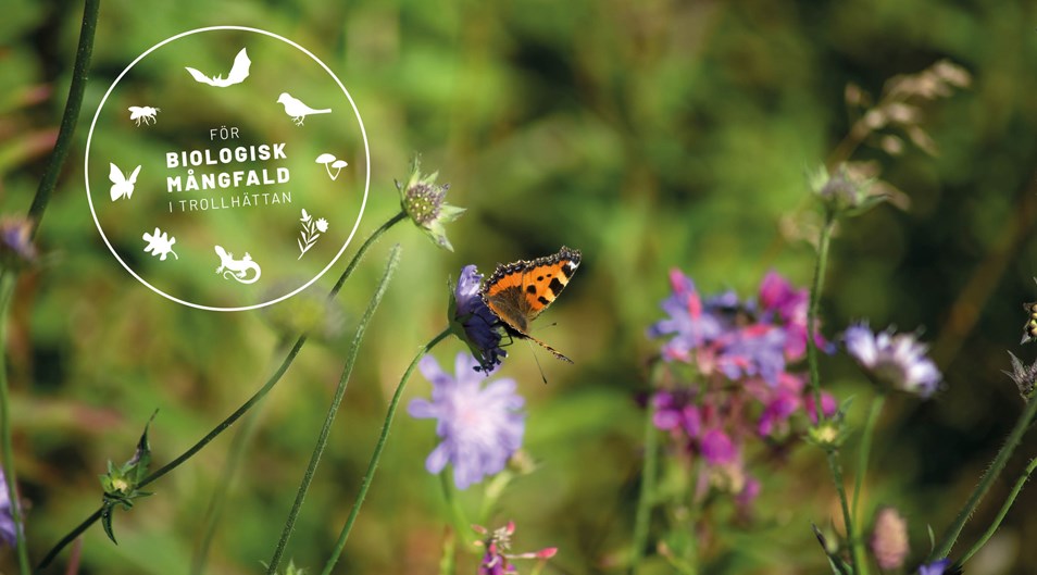 Fjäril bland blommor, symbol med växter och djur och texten För biologisk mångfald i Trollhättan