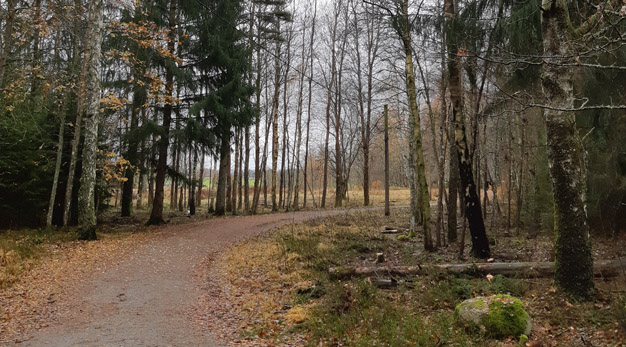 Motionsspår i Slättbergens naturreservat. Det är höst och lövträden har fällt sin blad.
