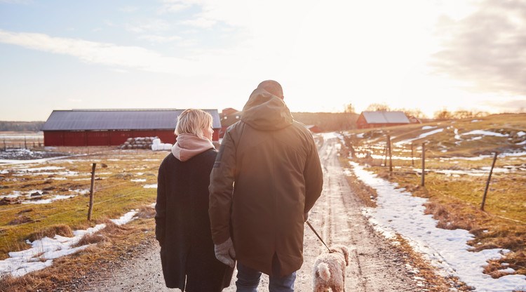 Man och kvinna som promenerar längs landsväg med en hund, ladugårdar i bakgrunden. 