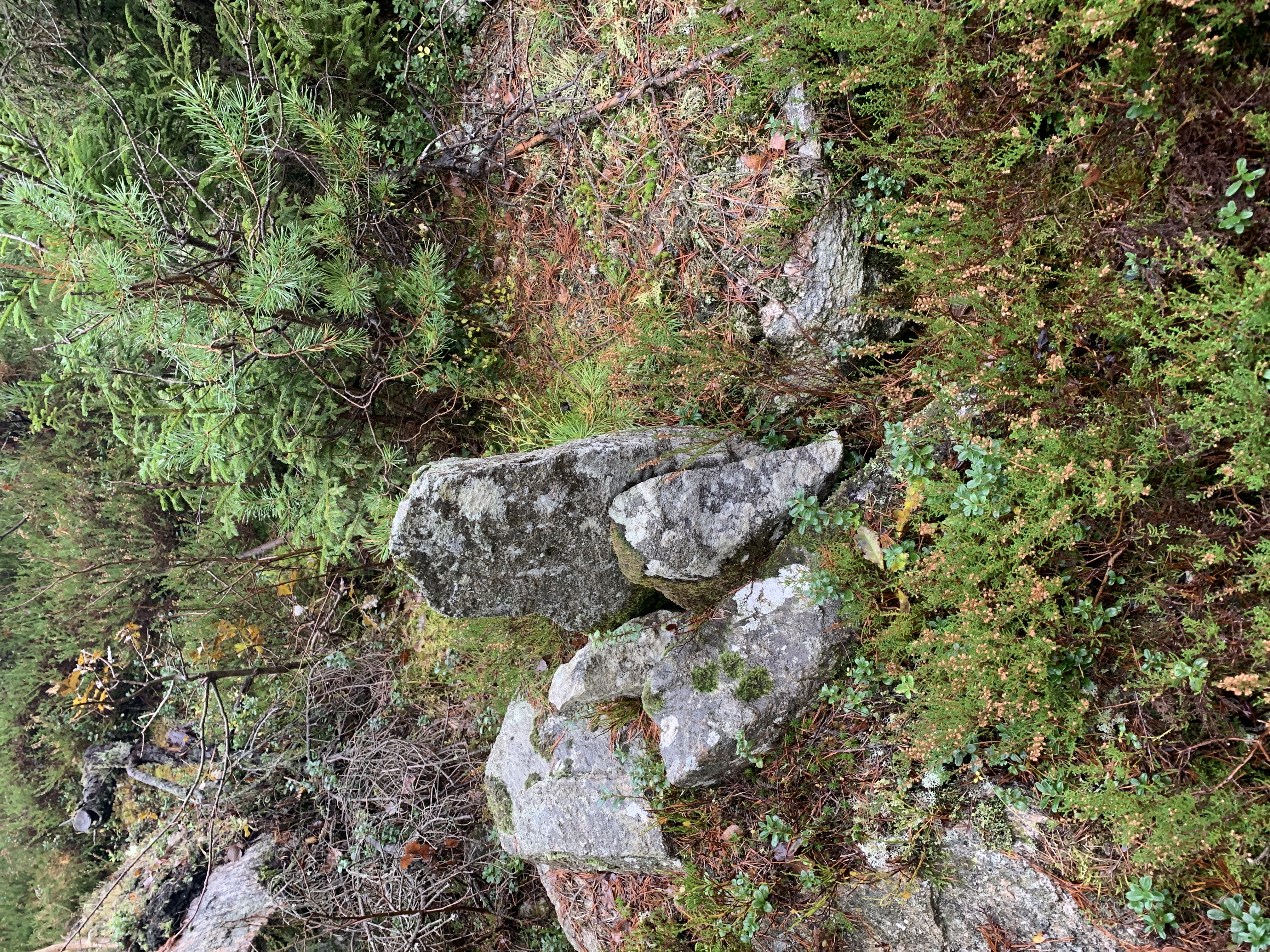 92856sida.jpg