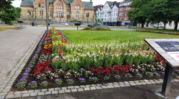 Blomsterrabatt