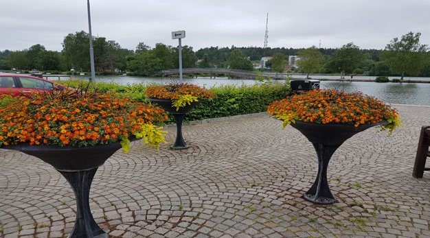 Blommor i hög urna på Kanaltorget