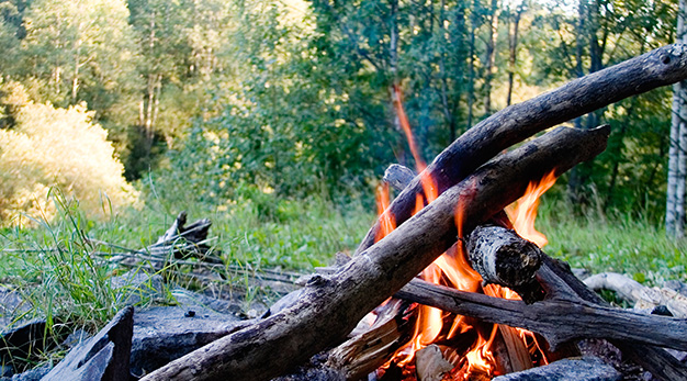 Brasa i skogen