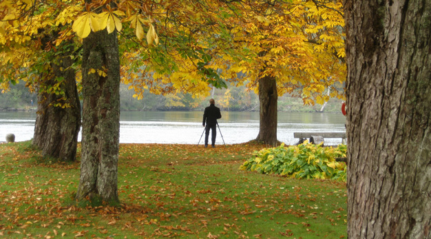 En man står under ett träd och blickar ut över kanalen. Löven har höstfärger och mannen har gåstavar med sig