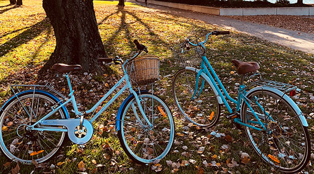 Två cyklar parkerade i en park