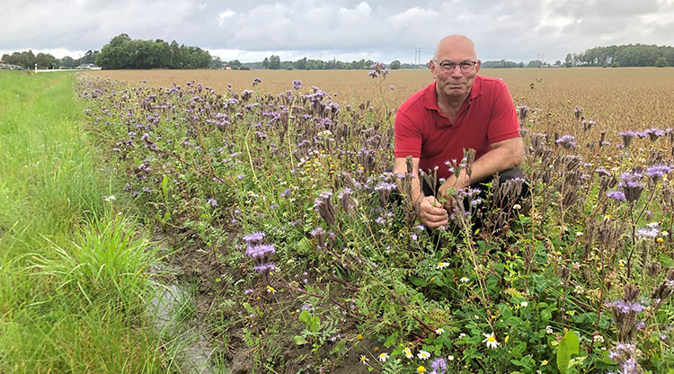 Mats Häggner vid sin blommande äng.