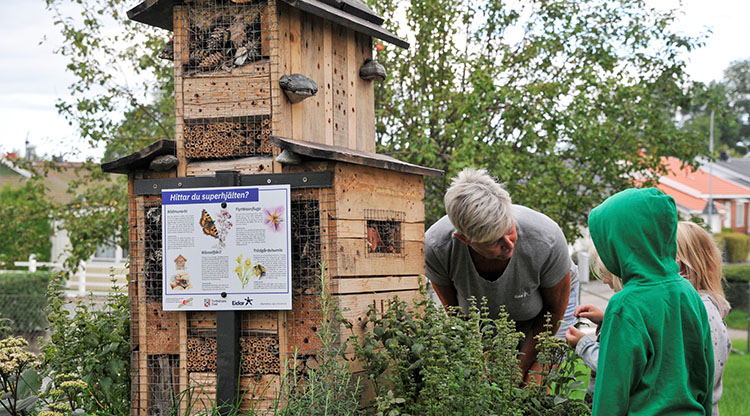 Perennplantering och insektshotell på förskola i projektet Grönare skolgårdar – en av många aktiviteter inom Bred samverkan för biologisk mångfald i Trollhättan.