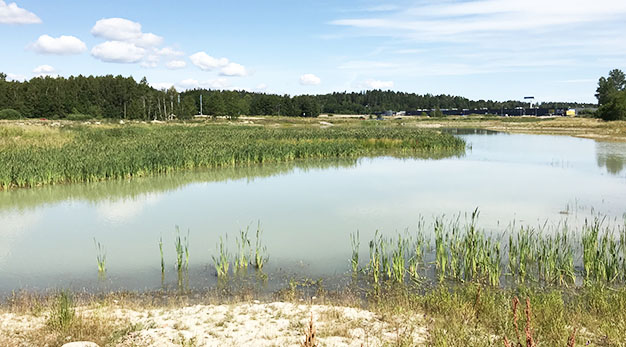 Dagvattendammen vid Överby västra