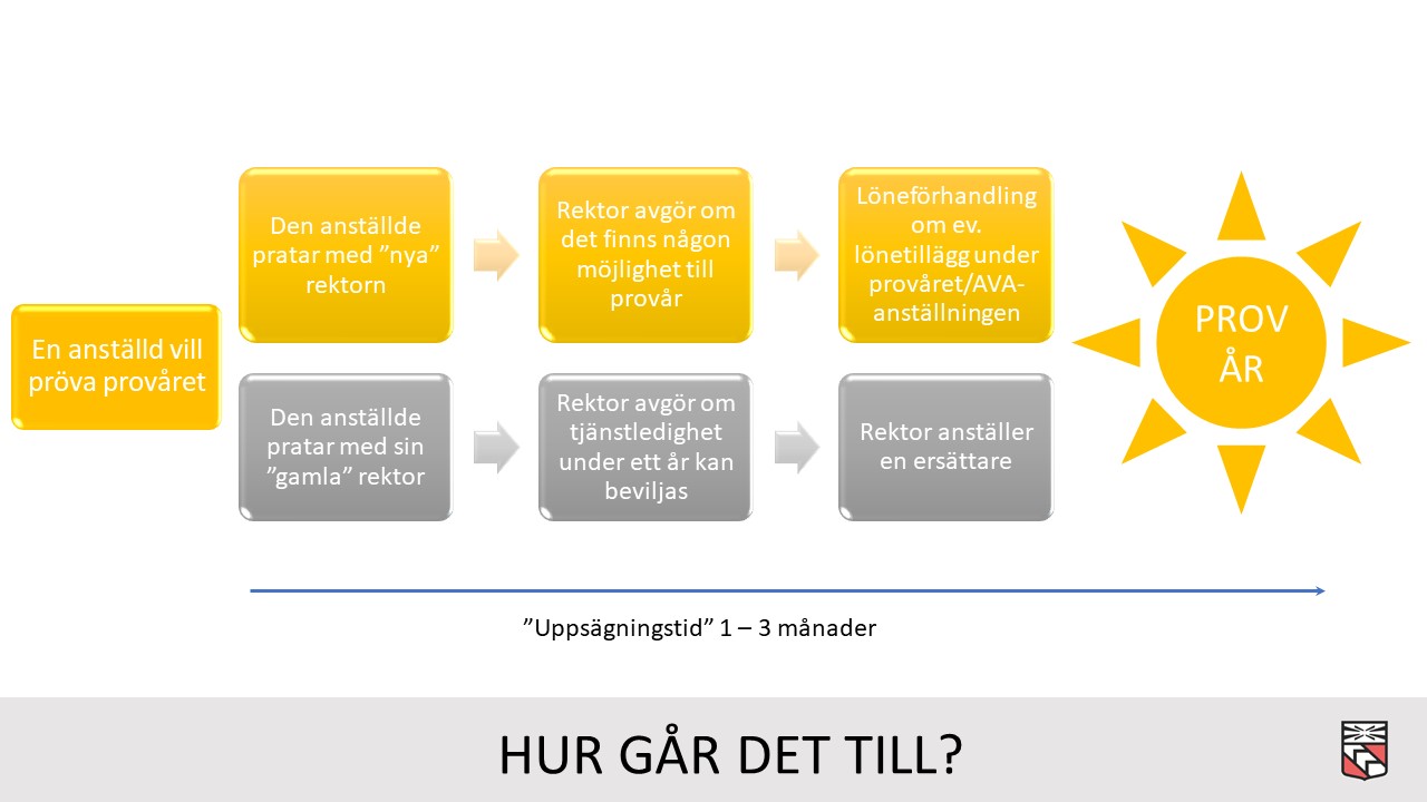 Bild på flödesschema om hur det går till