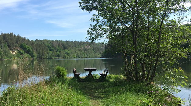 Bilden är ett fotografi av ett parkbord som står längst ut på en udde. Parkbordet är centrerat i bild och det är en stig fram till bordet. Längst stigen är det nästan som en äng med blommor. På parkbordets högra sidan står ett stort träd. I bakgrunden syns vatten som är spegelblankt.  